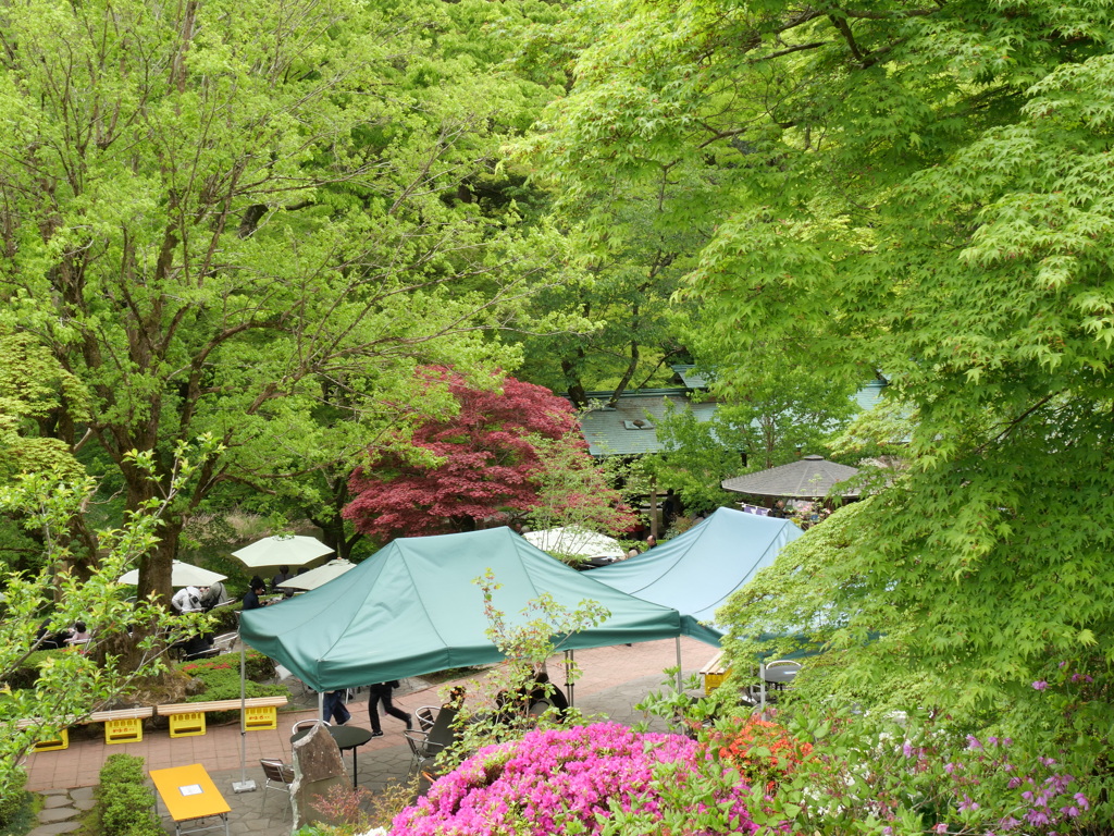 P1015634