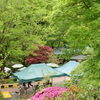 P1015634