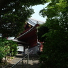 P1015198