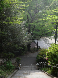 P1015280