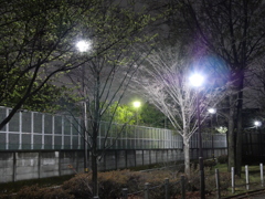 P1013131