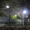 P1013131