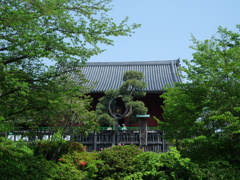 P1015035