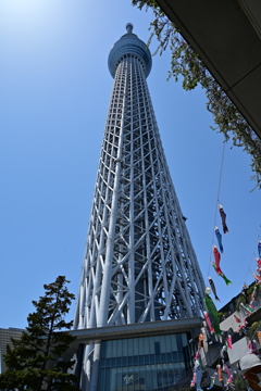 スカイツリーの鯉のぼり