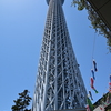 スカイツリーの鯉のぼり