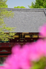 根津神社