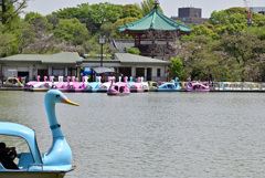 横切りマース