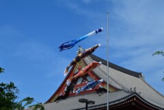 浅草寺の鯉のぼり