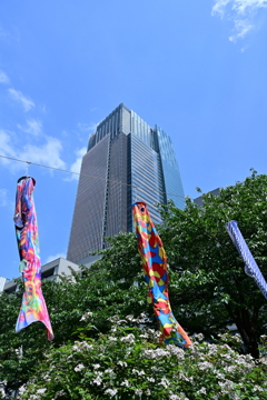 東京ミッドタウンの鯉のぼり
