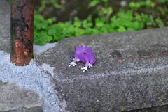 忘れ物