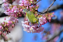ちょっと休憩