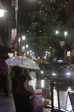 雨の浅草