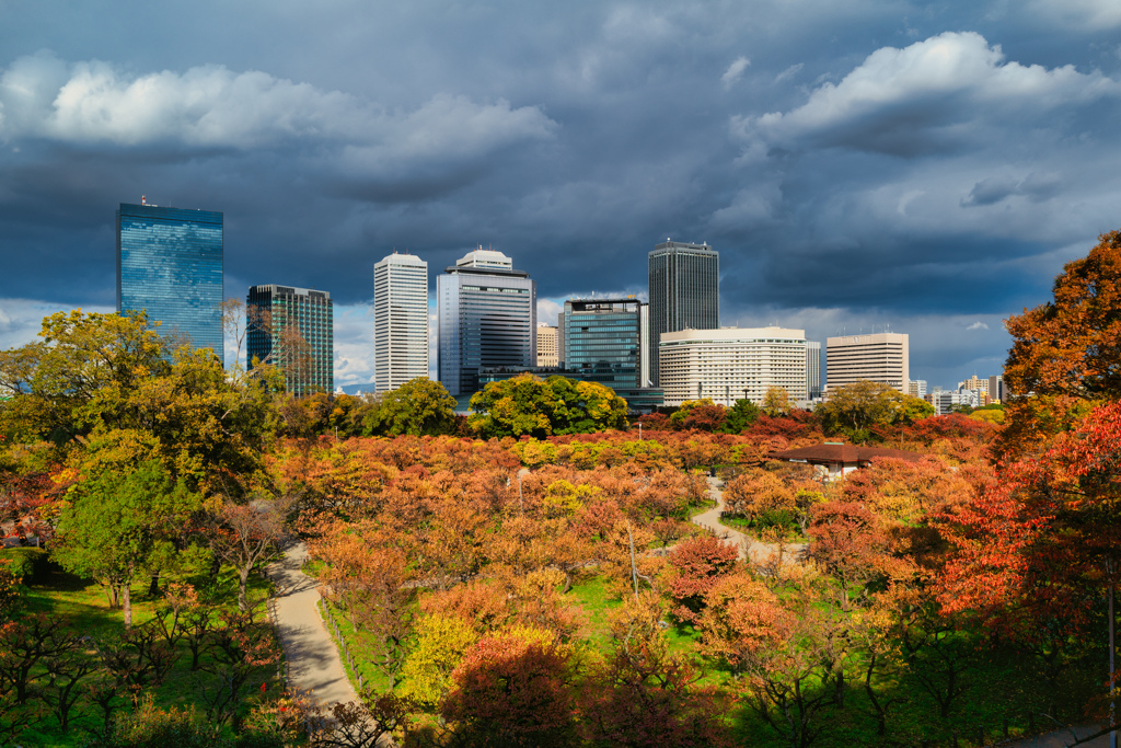大阪城公園梅林の紅葉