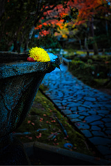 静かに流れ落ちる