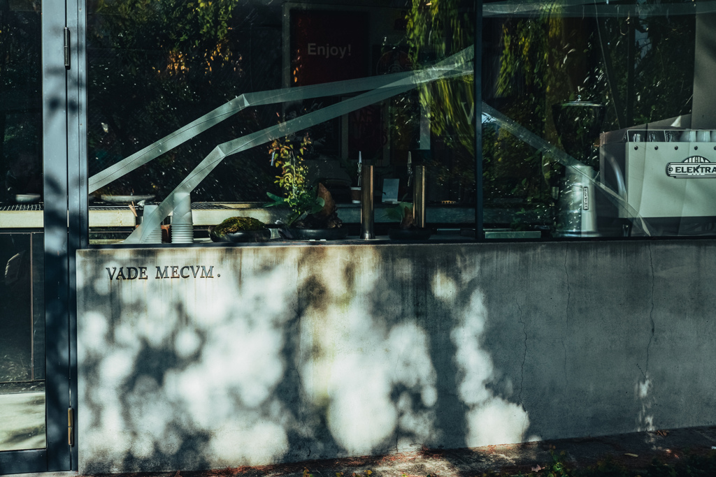 ラテンの言葉と午後の光