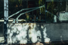 ラテンの言葉と午後の光