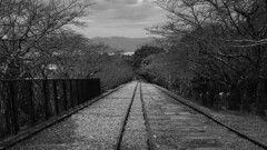 時を超える軌道