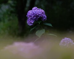 頭一つ・・・