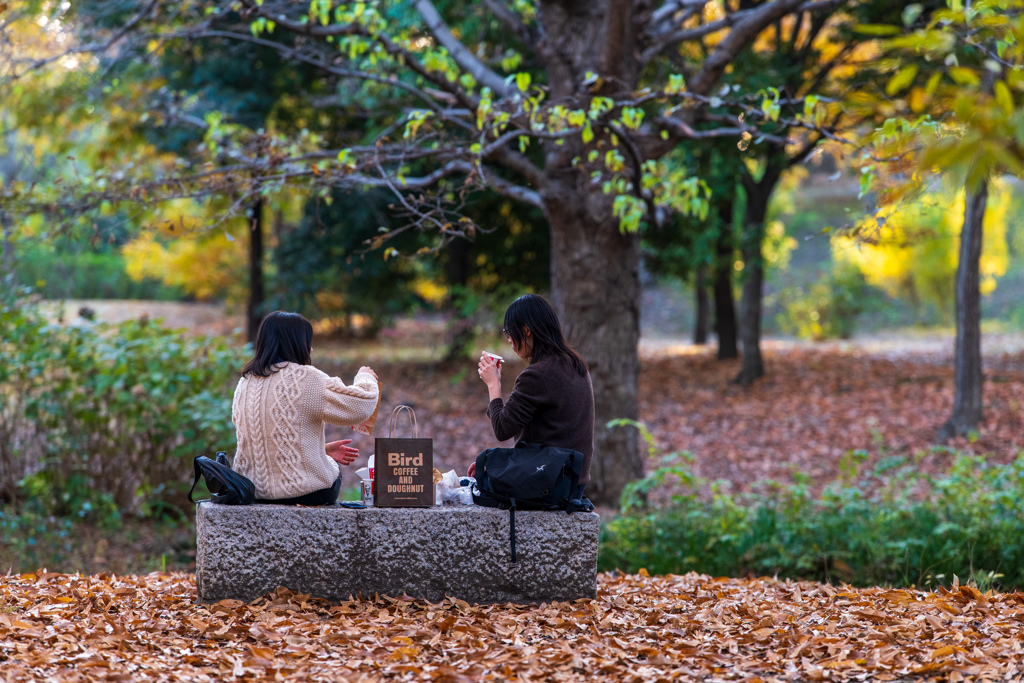 秋の午後　楽しい語らい