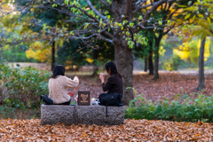 秋の午後　楽しい語らい