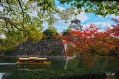 大阪城　紅葉巡り