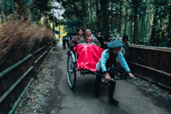 竹林を駆ける風