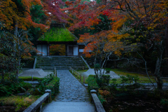 静寂を抱く秋の門