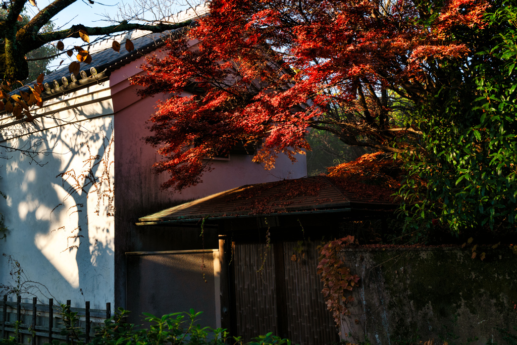 秋色に包まれた日本家屋