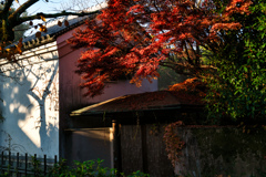 秋色に包まれた日本家屋