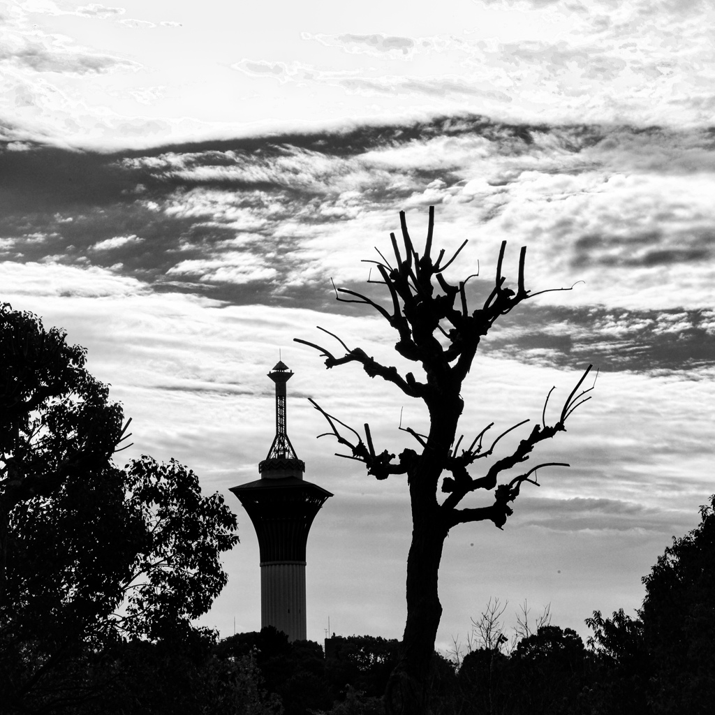 シルエットの対話