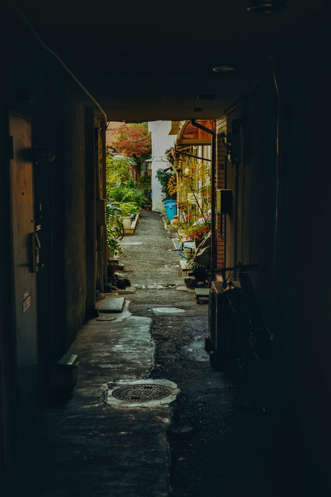 抜けたくなる路地裏