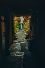 抜けたくなる路地裏