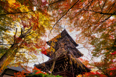 真如堂　三重塔