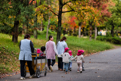 園児たちの紅葉狩り