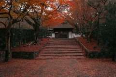 赤色に包まれた静寂の門