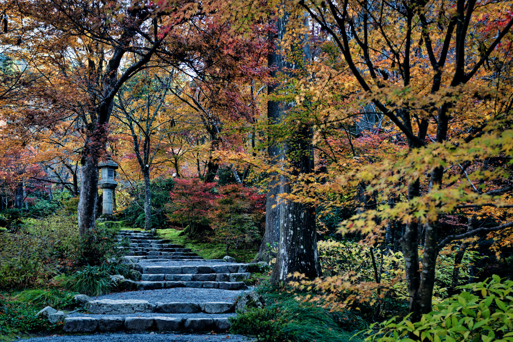 石段も苦にならない