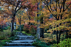 石段も苦にならない