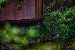 何やら　怪しげな白川