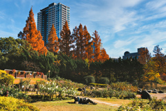 気持ち余暇と～