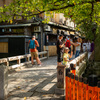 Have fun on your Kyoto trip!