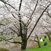 幸せなひと時