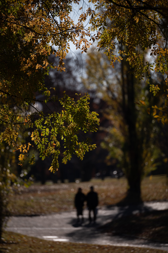 寄り添う冬の散歩