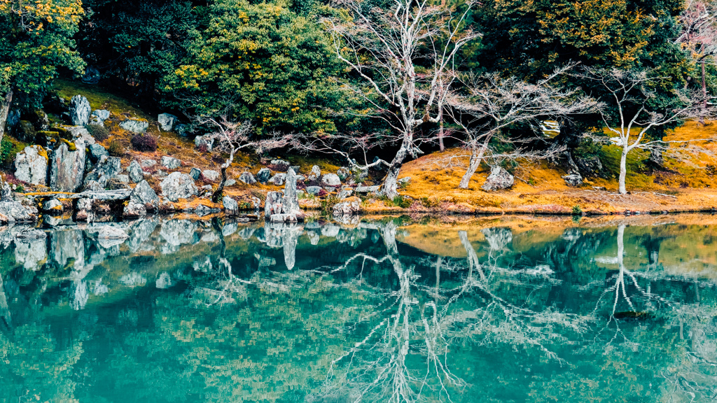 天龍寺　曹源池庭園