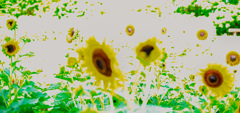 現代アート
