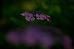 神秘的に
