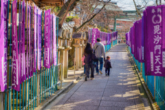 紫が映える参道