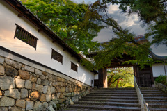 知恩院　北門