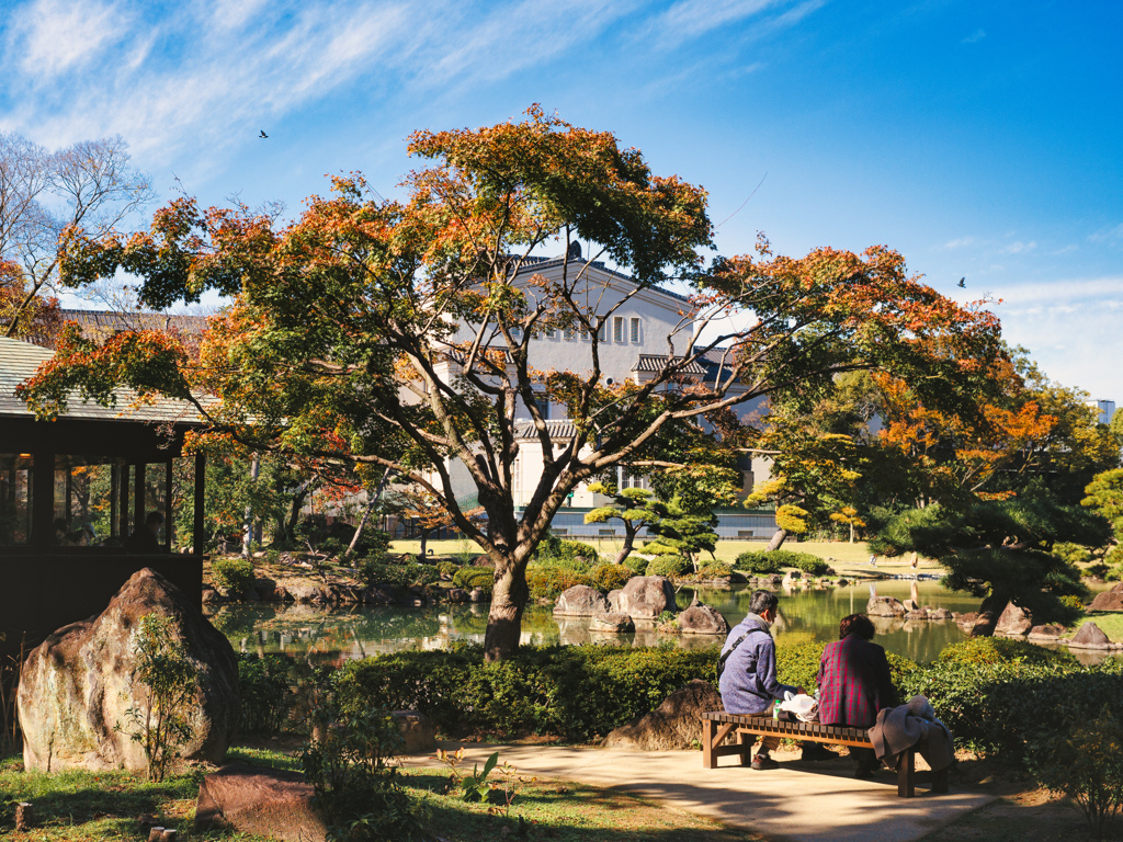 静かな庭園のひととき