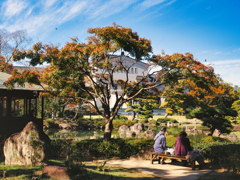 静かな庭園のひととき