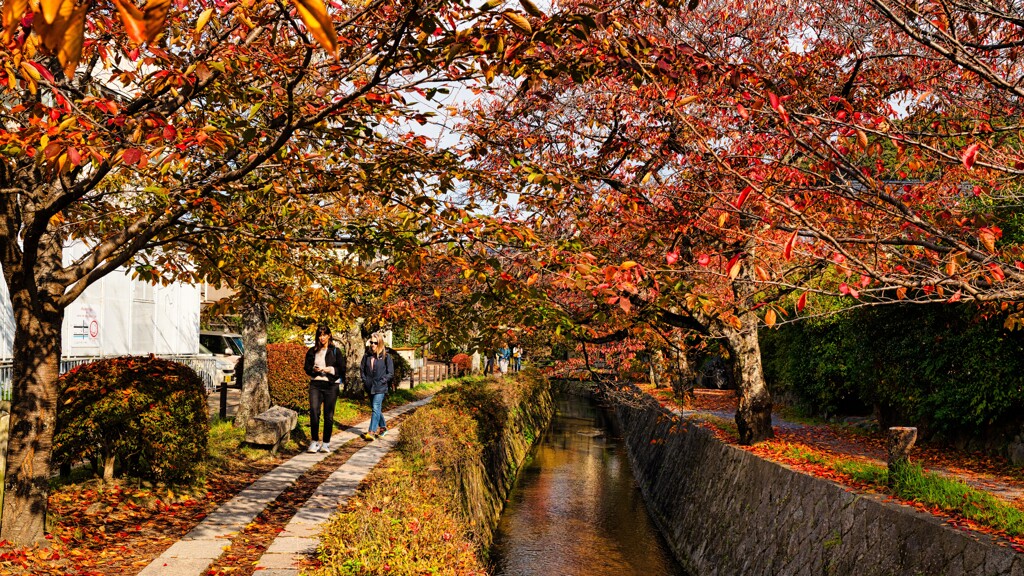 秋意を感じながら